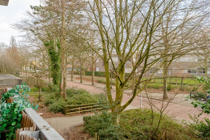 Photo 5 of Papendrechtstraat 67