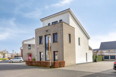 Havikskruid 18 secondary image