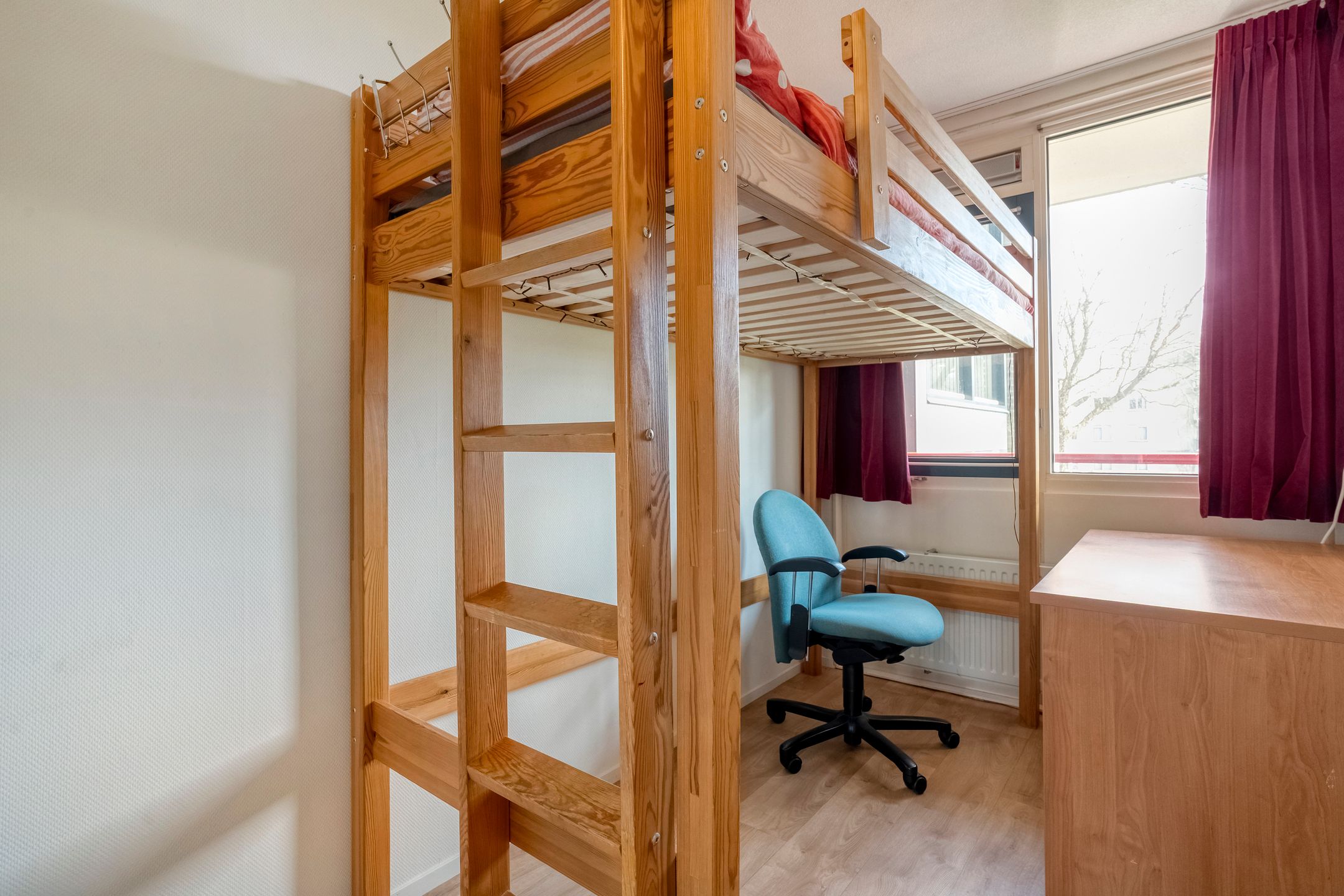 Photo 18 of Ministerlaan 188