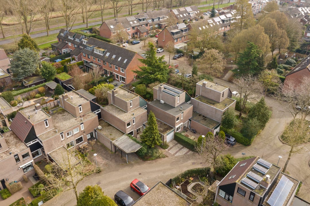 Foto 7 van Rijsbes 27