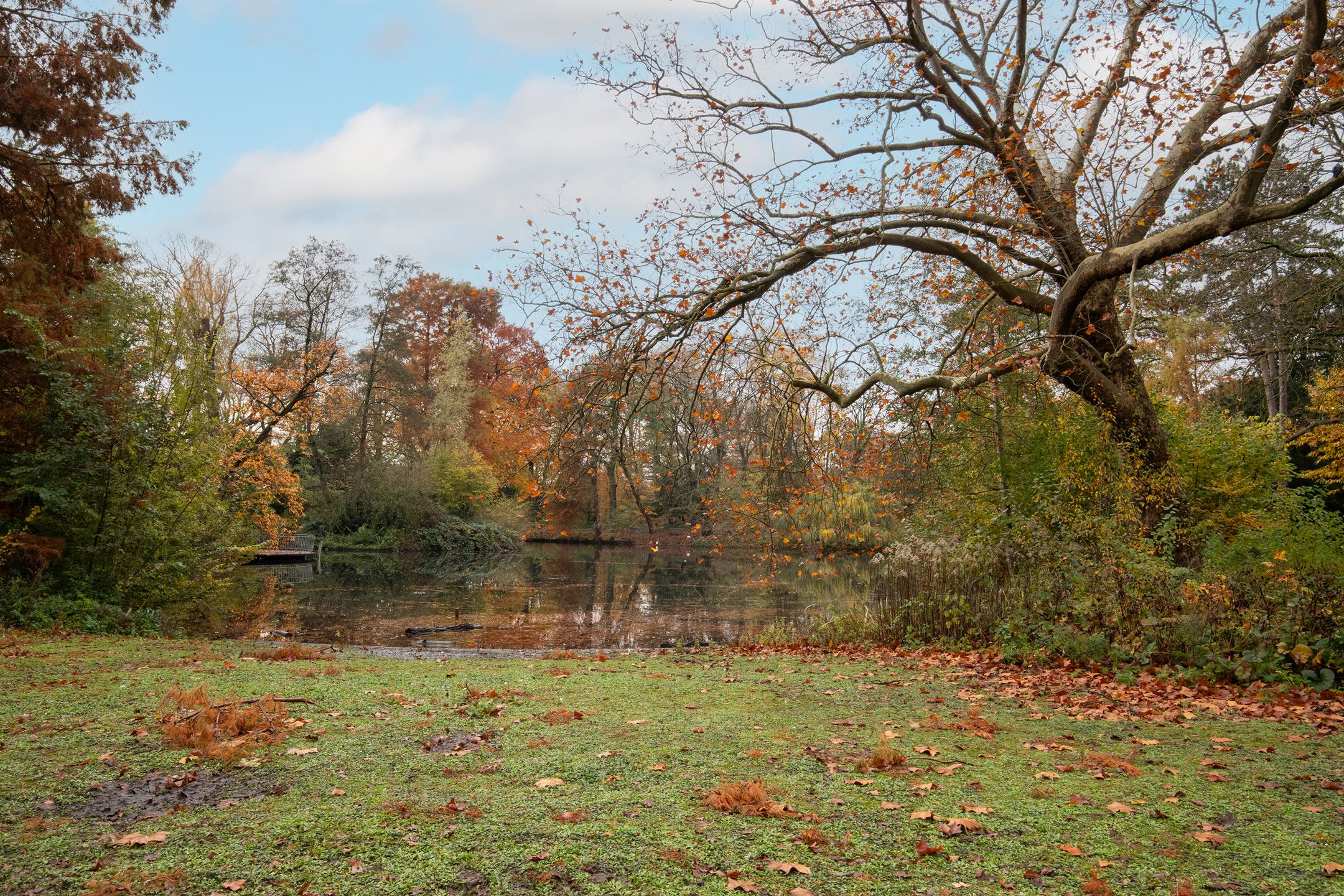 Photo 24 of Johannes Uitenbogaertstraat 42