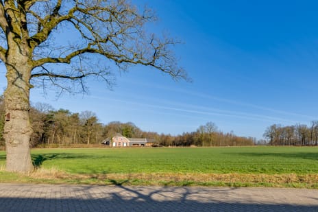 Banningweg 6 secondary image