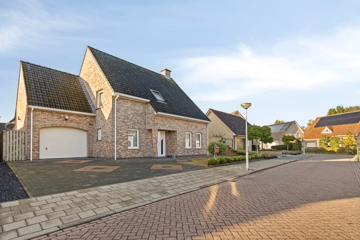 Vlasbloem 4 main image