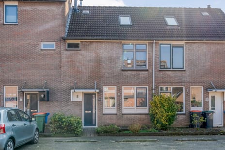 undefined main image