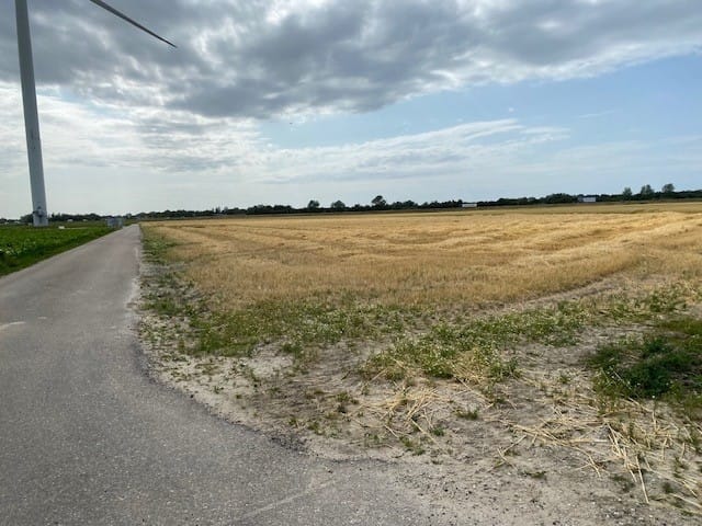 Bekijk foto 3 van Baashuisweg