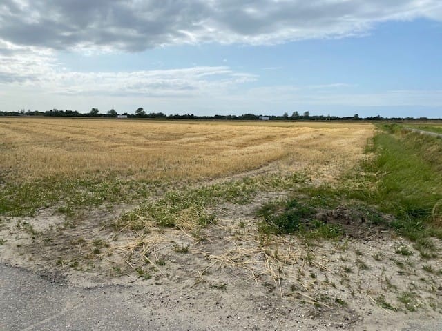 Bekijk foto 4 van Baashuisweg