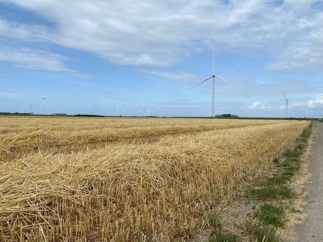 Baashuisweg - Kamperland - Afbeelding 7