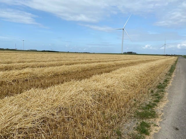 Bekijk foto 5 van Baashuisweg