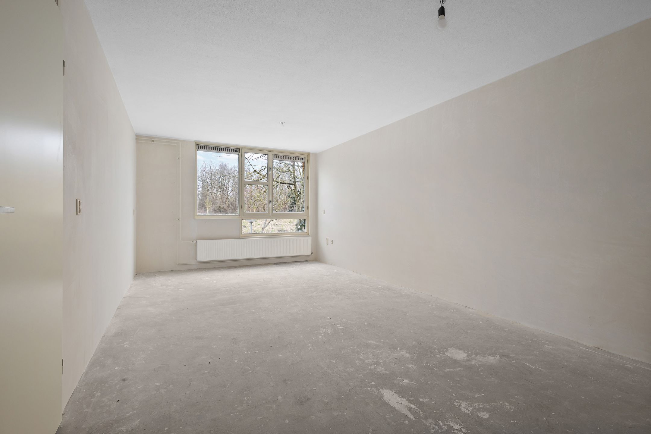 Foto 3 van Wamelstraat 93