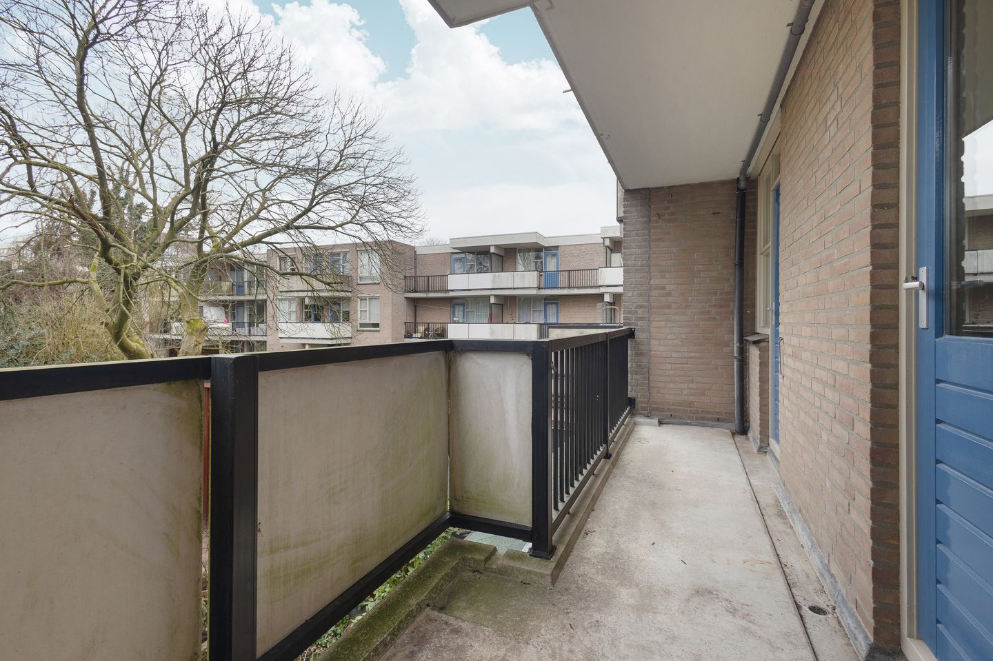 Foto 10 van Wamelstraat 93