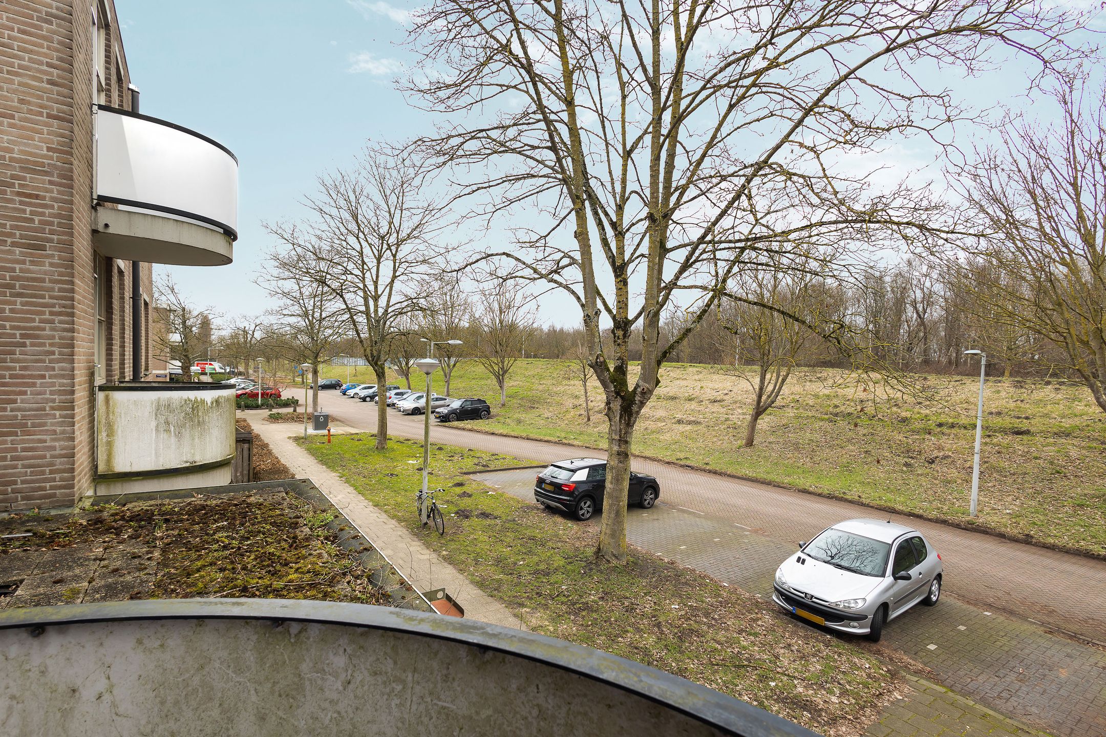 Foto 15 van Wamelstraat 93