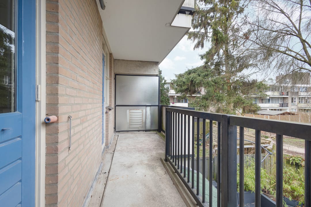 Foto 22 van Wamelstraat 93