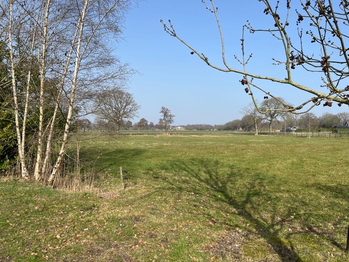 Foto 3 van Lieverseweg 22-F