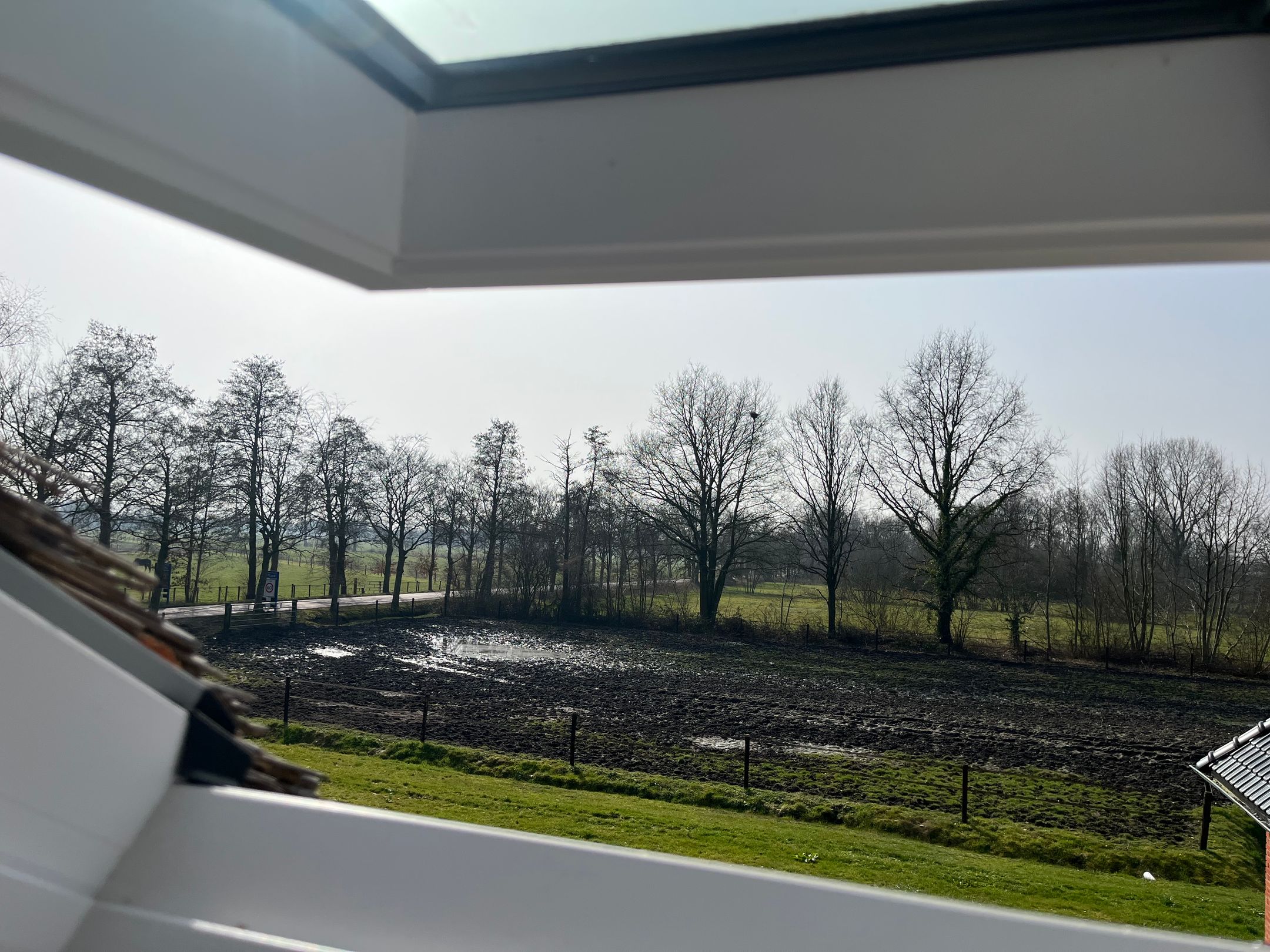 Foto 12 van Lieverseweg 22-F