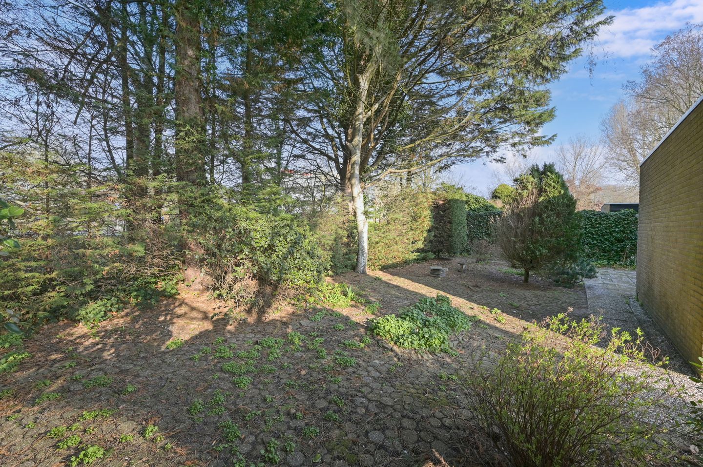 Foto 20 van Klaverweide 15