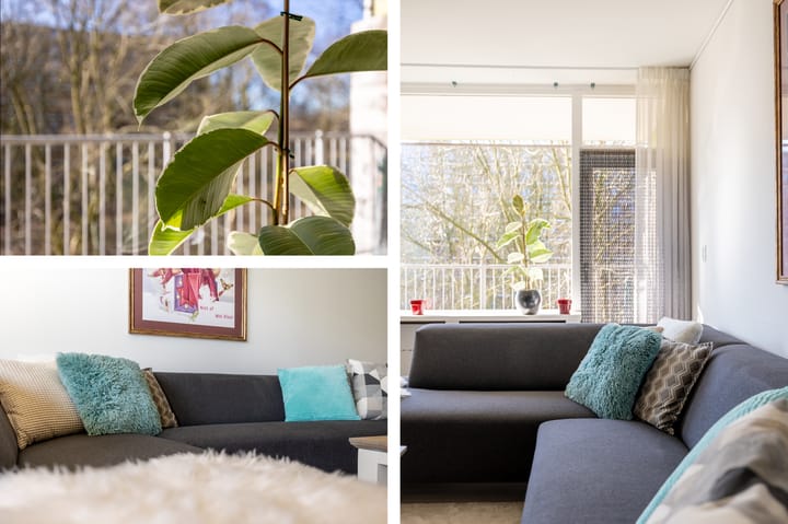 Foto 3 van Oostervenne 220