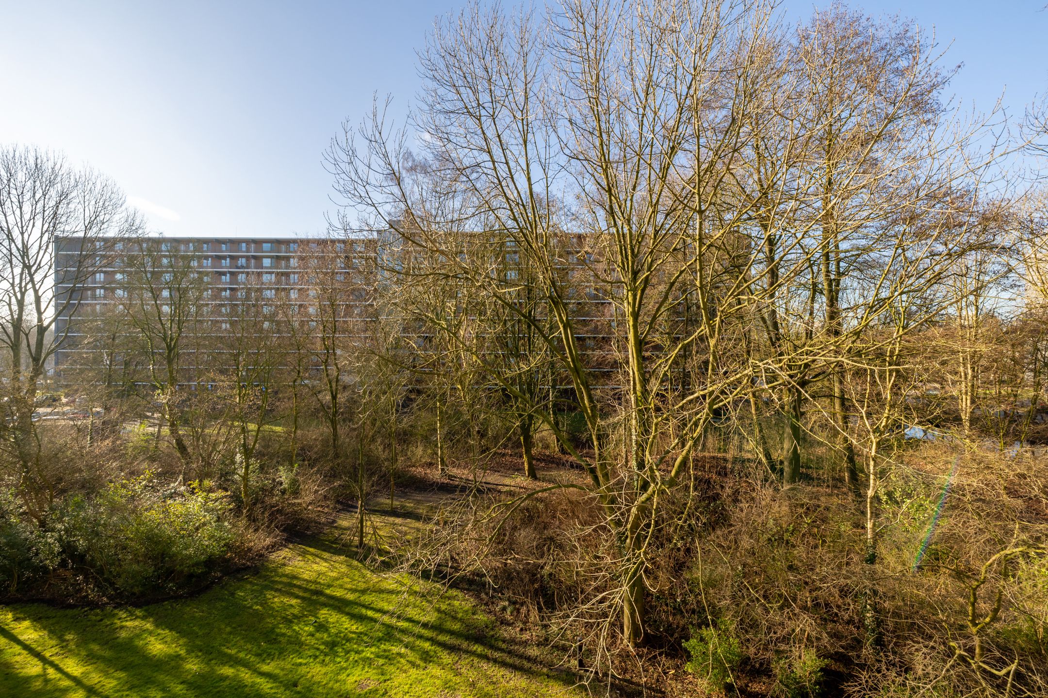 Photo 48 of Oostervenne 220