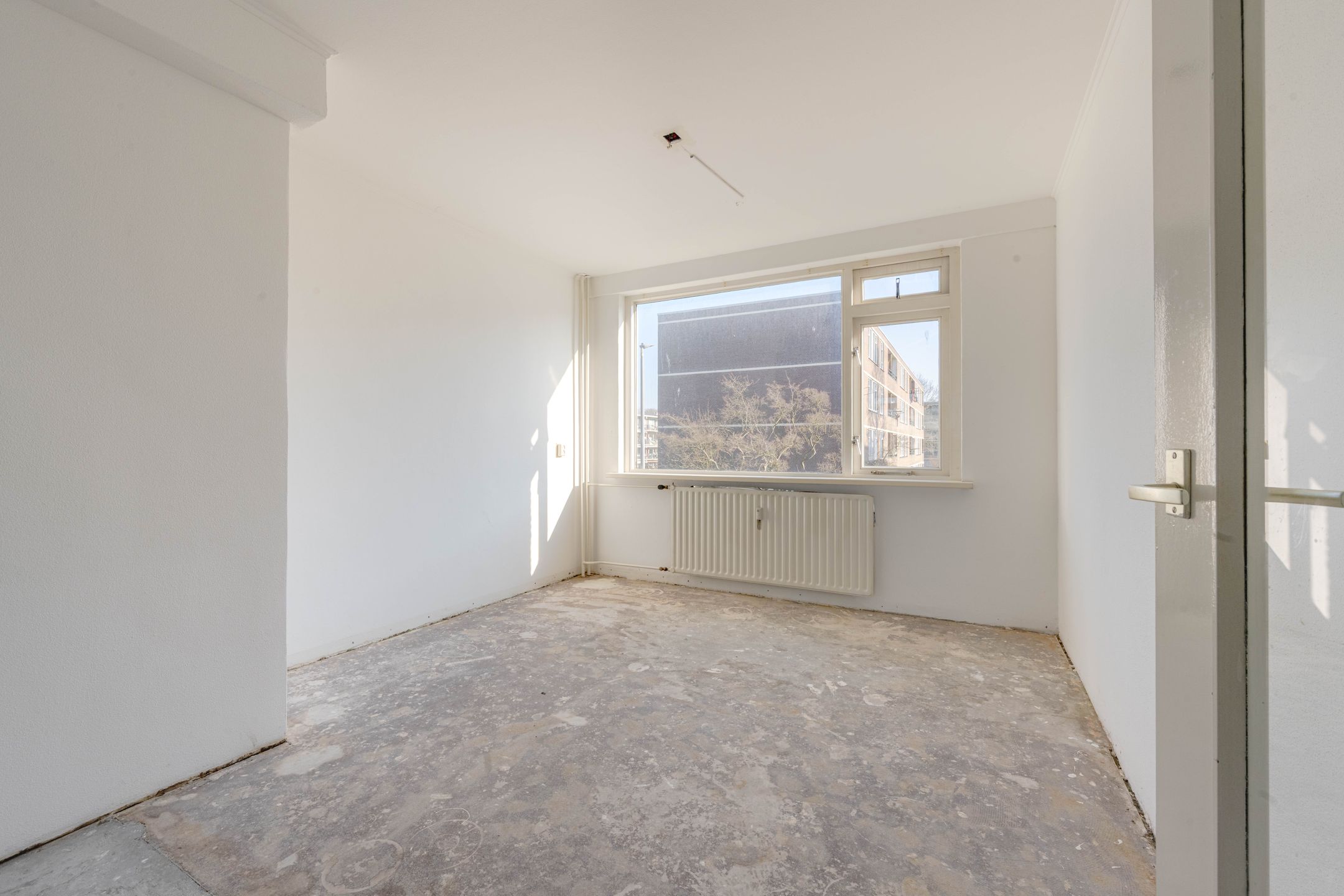 Foto 9 van Ruigoord 304