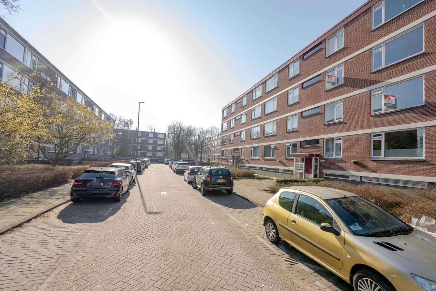 Foto 25 van Ruigoord 304