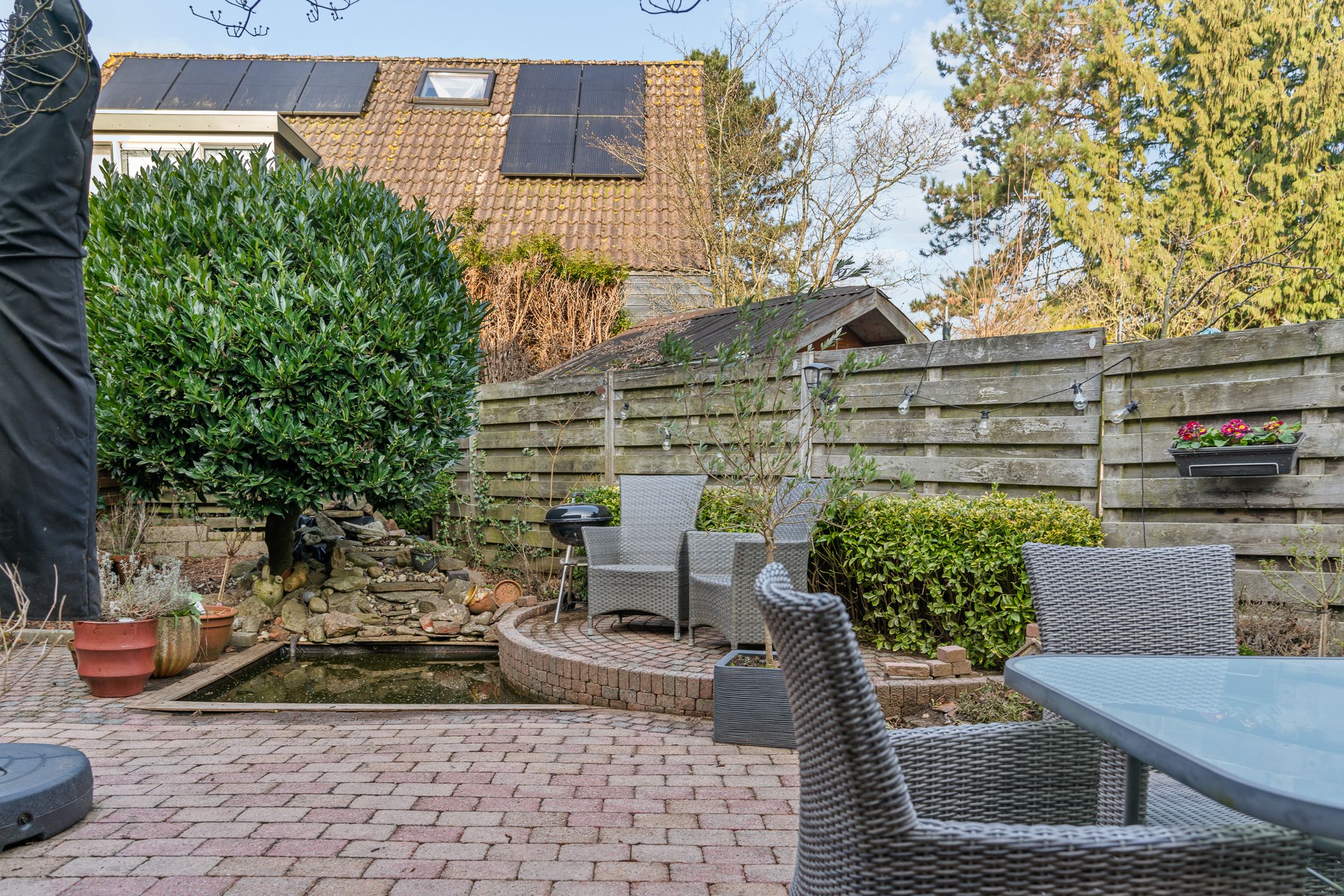 Photo 21 of Kweldergras 5