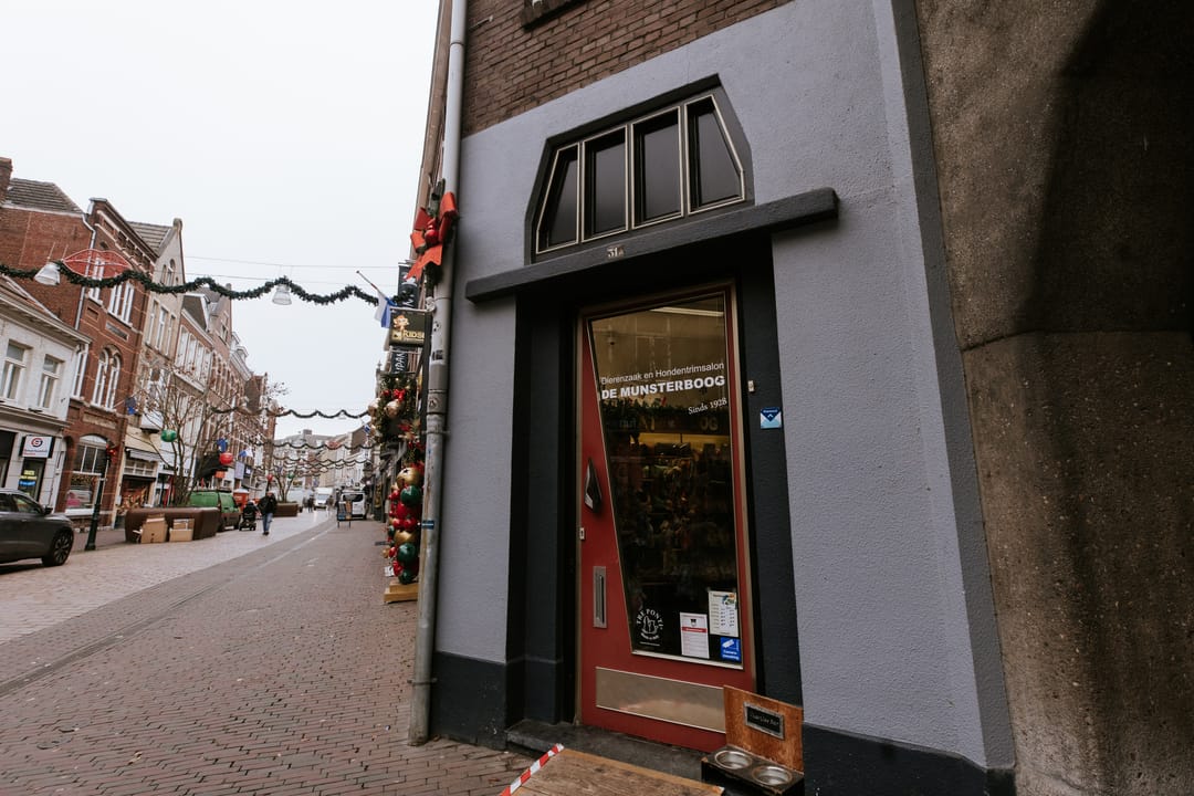 Foto 8 van Hamstraat 31