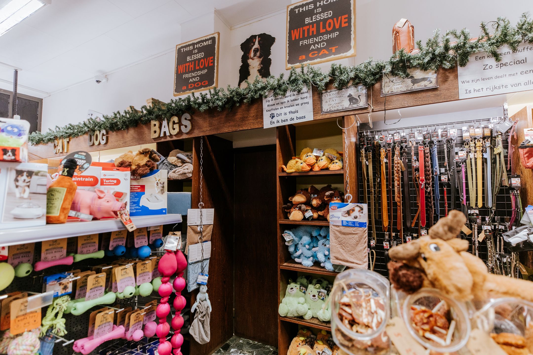 Foto 15 van Hamstraat 31