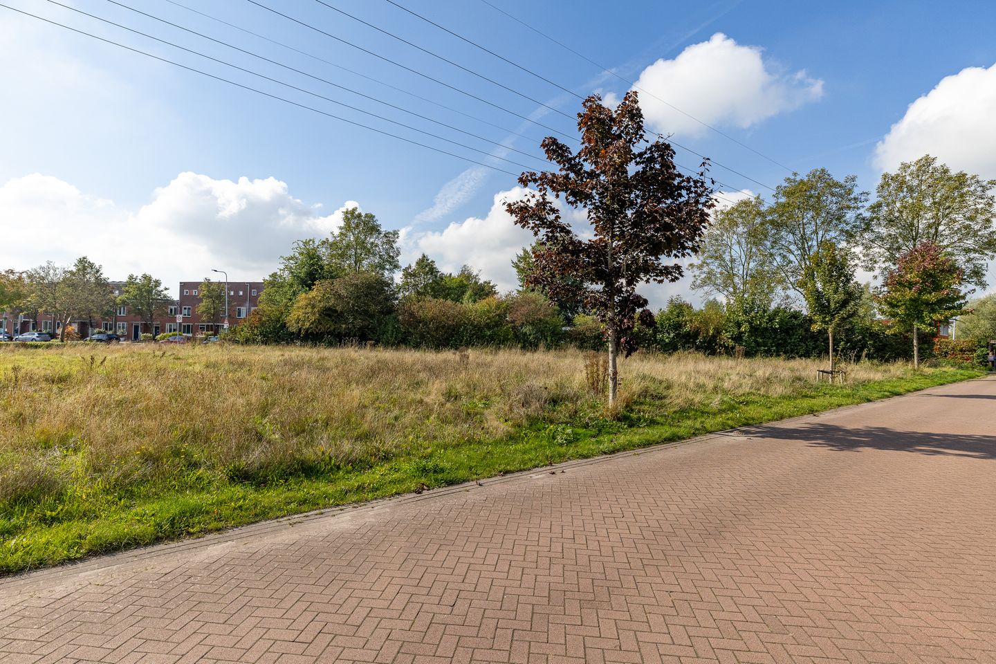 Bekijk foto 4 van Cuypersweg