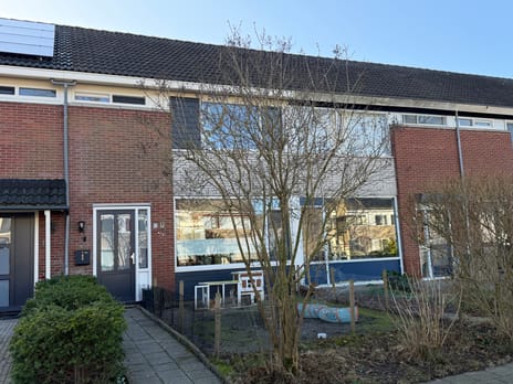 undefined main image