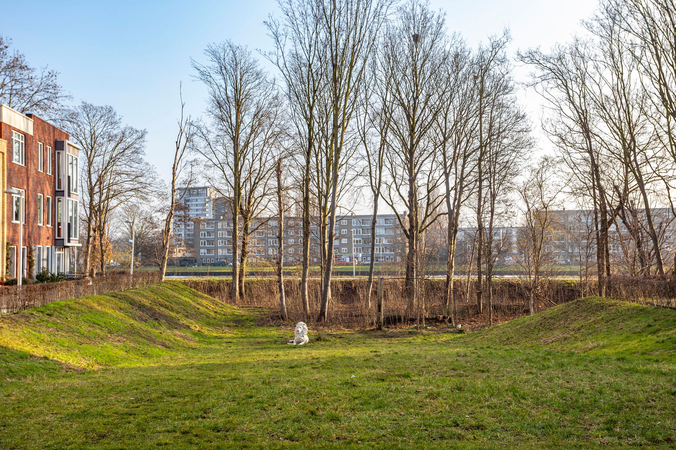 Foto 12 van Rijksdaalderplantsoen 17