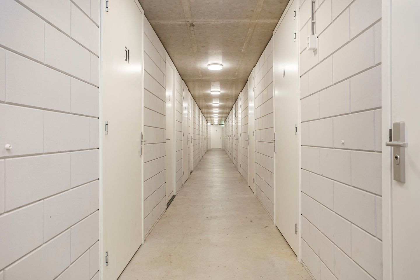 Foto 65 van Rijksdaalderplantsoen 17