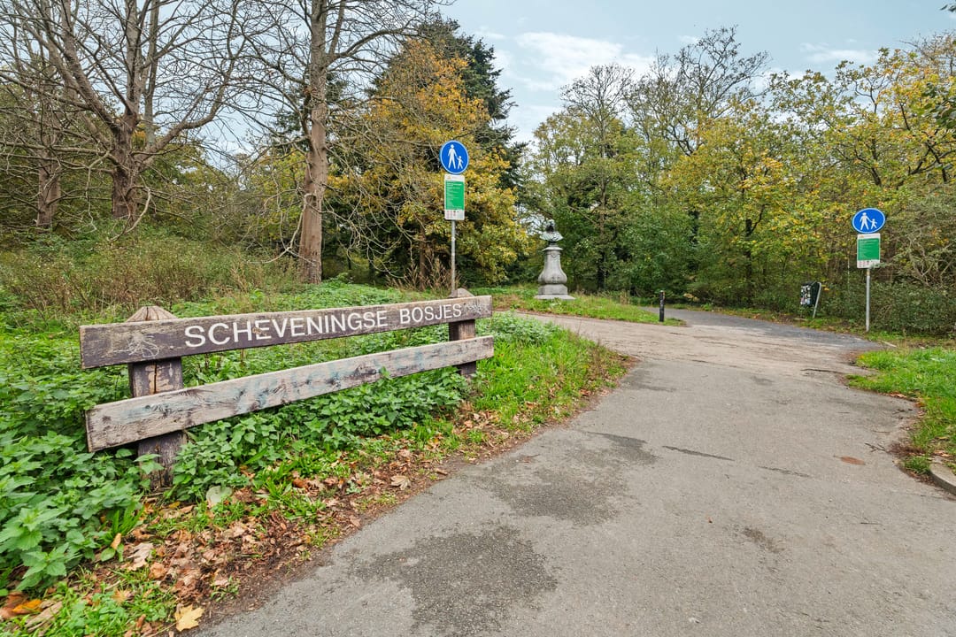 Foto 31 van Burgemeester Patijnlaan 802