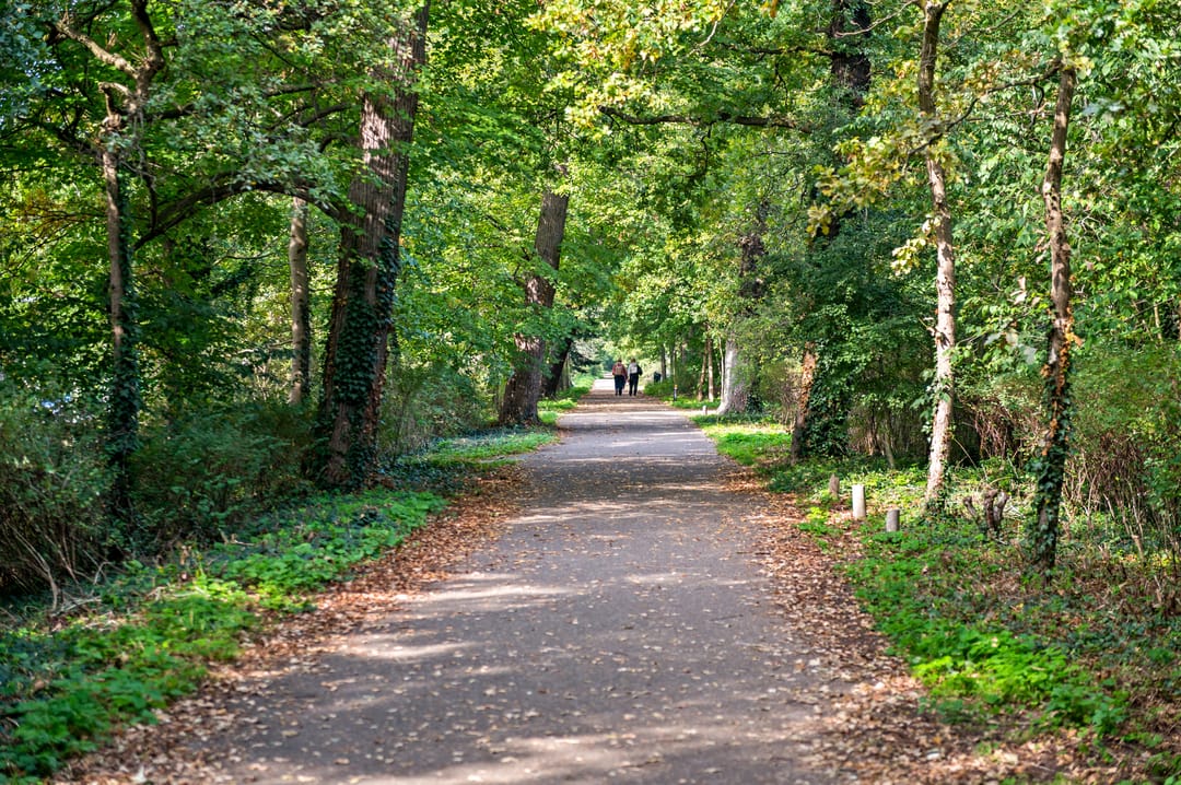 Foto 32 van Burgemeester Patijnlaan 802