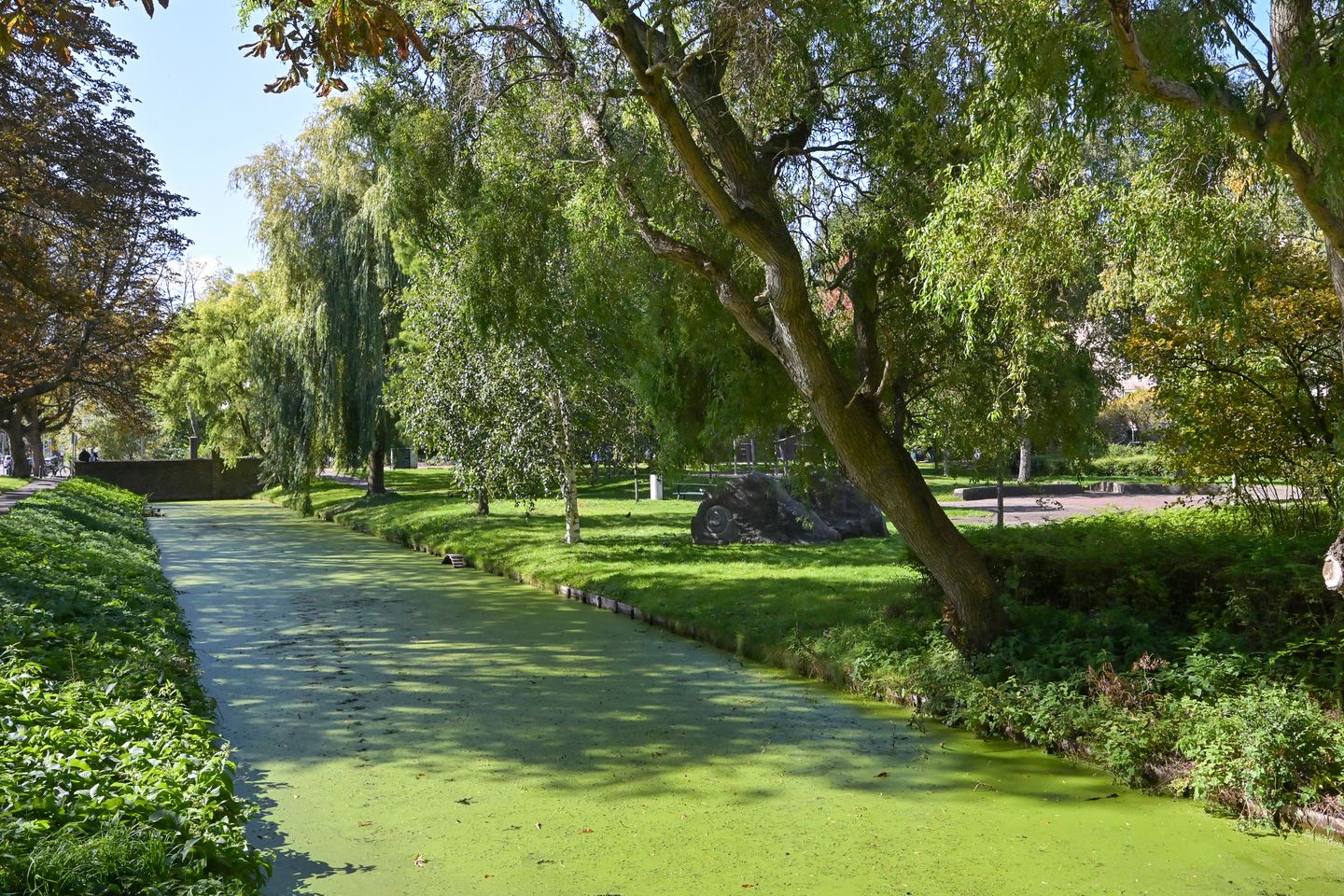 Foto 34 van Burgemeester Patijnlaan 802