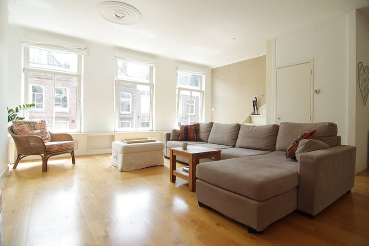 Tweede Jan Steenstraat 101-3