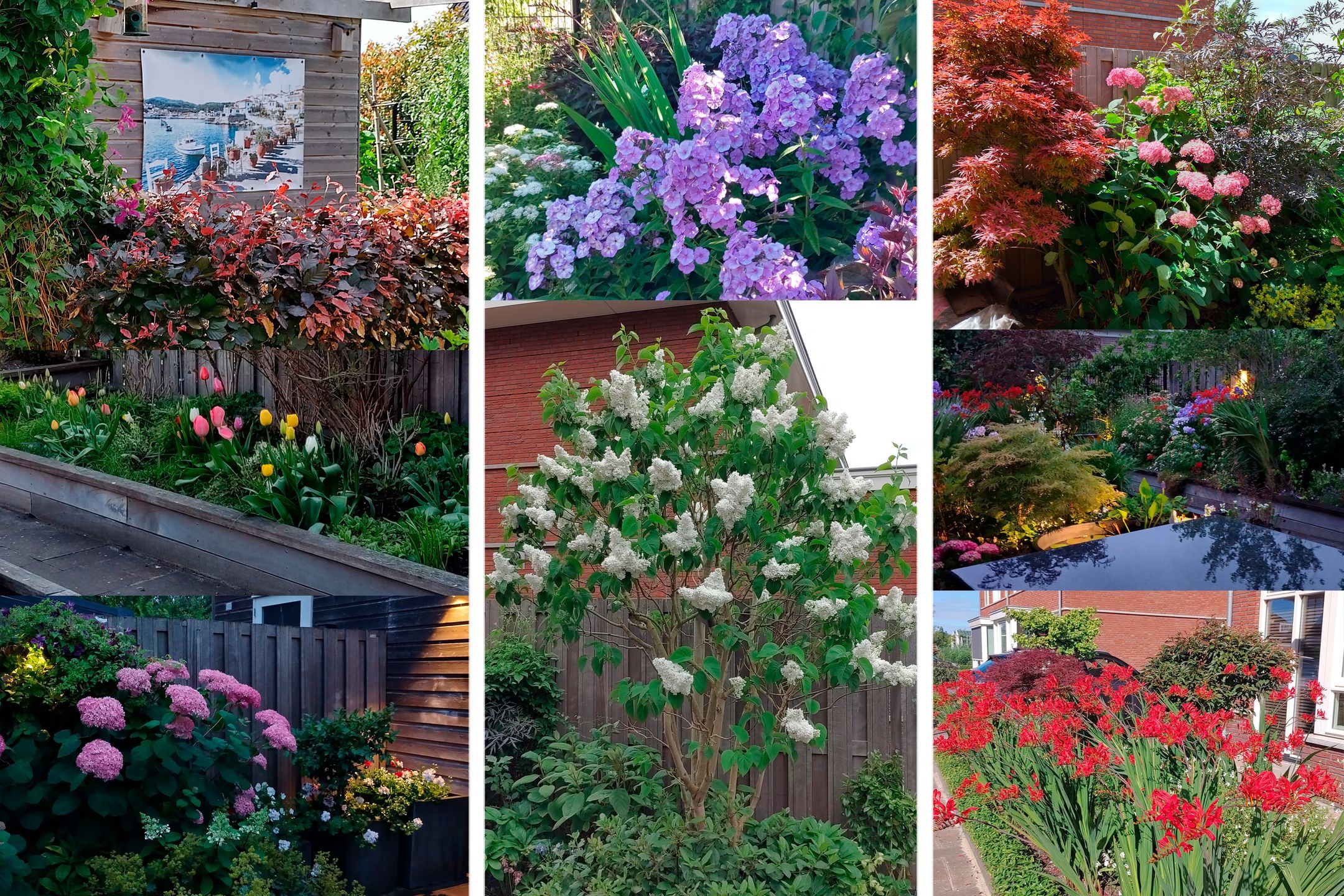 Foto 24 van Duin en Kruidberg 18