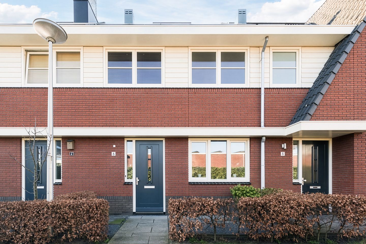 Photo 5 of Gentiaan 6