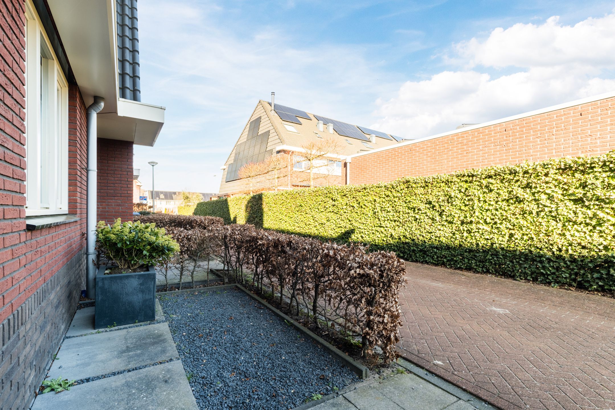 Photo 6 of Gentiaan 6