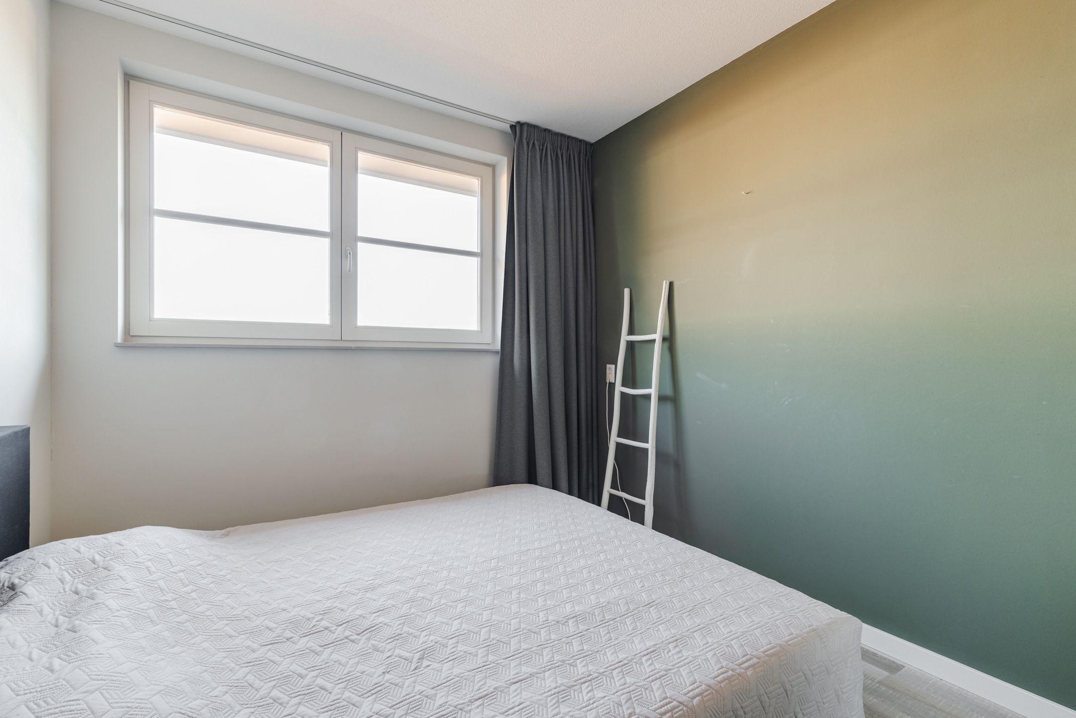 Photo 39 of Gentiaan 6