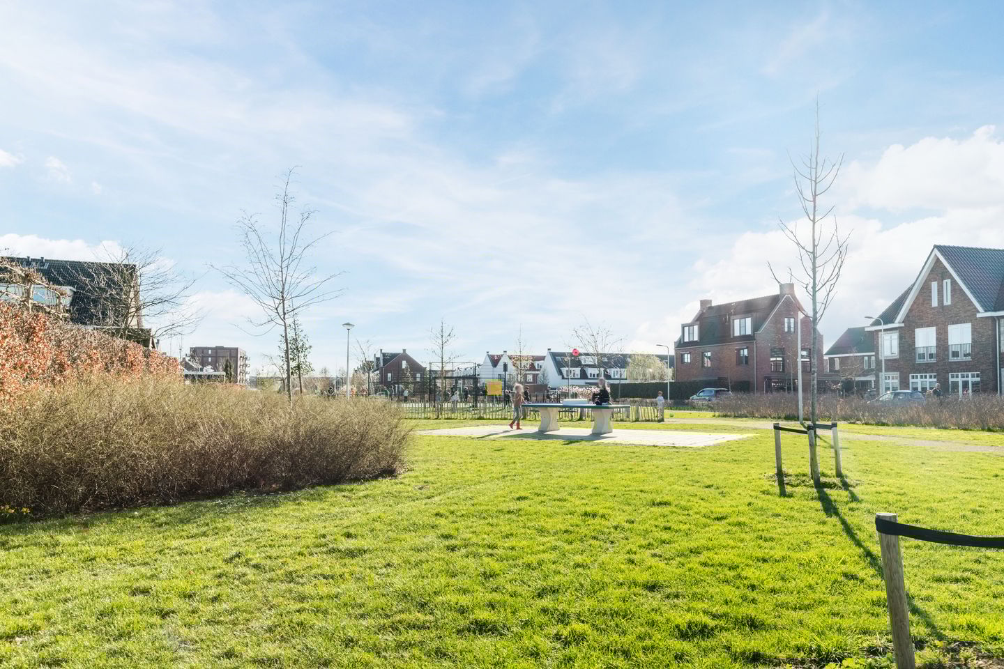 Photo 64 of Gentiaan 6