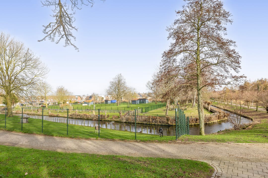 Foto 28 van Esdoornlaan 34