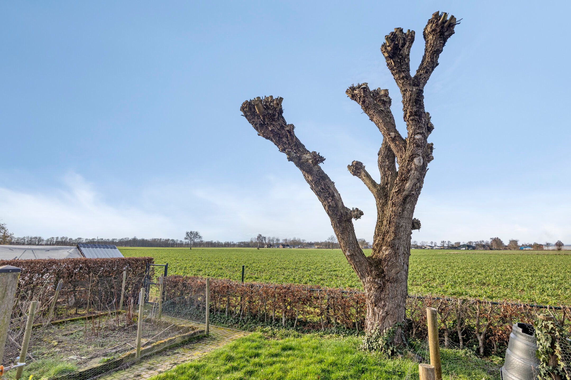 Foto 48 van Lidwinastraat 15