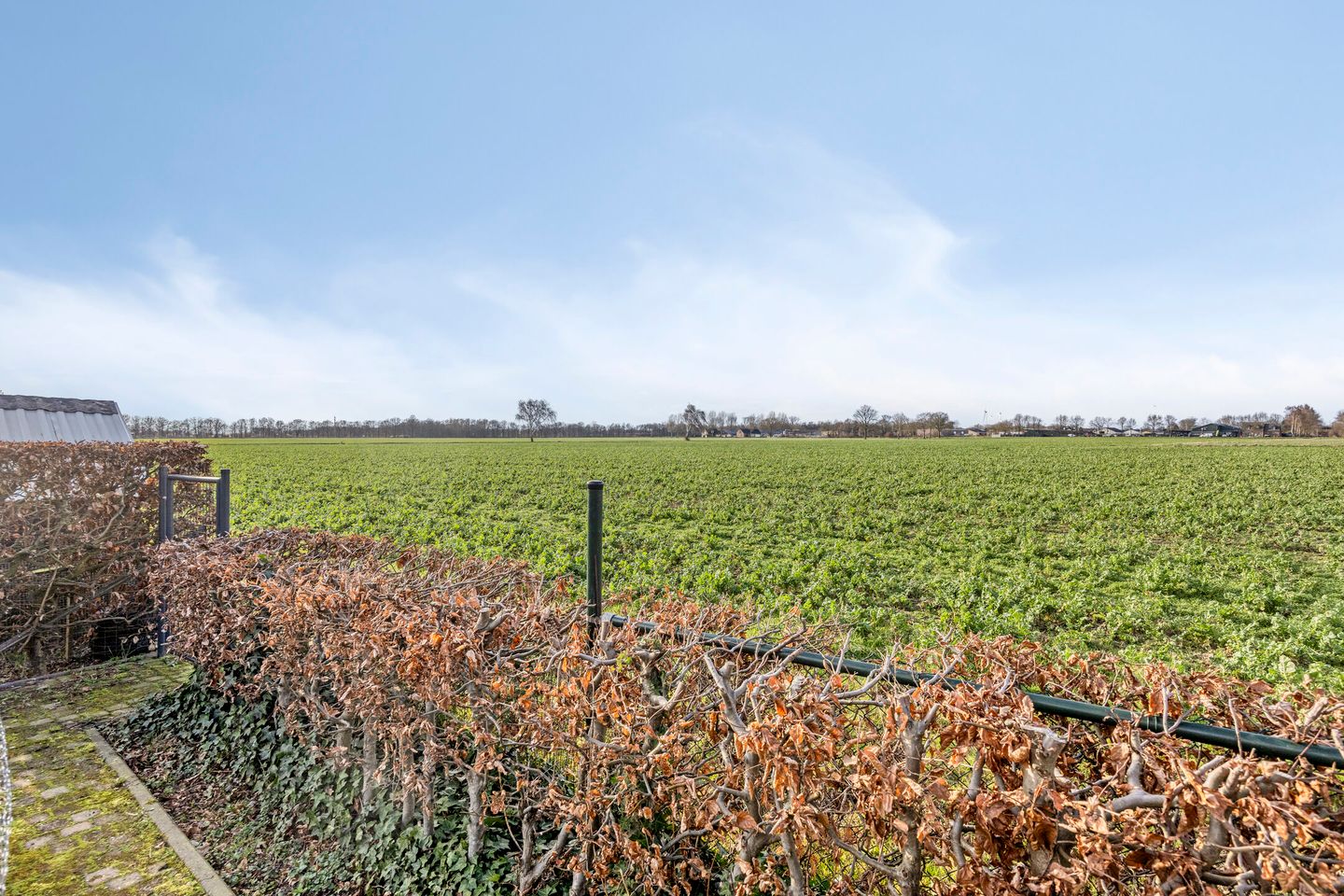 Foto 49 van Lidwinastraat 15