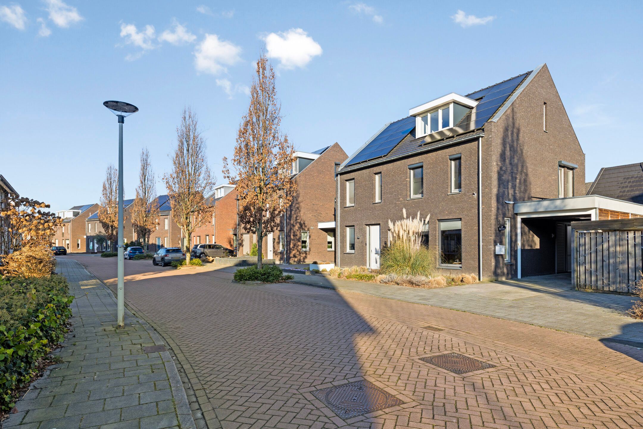 Photo 9 of Koolwitje 2