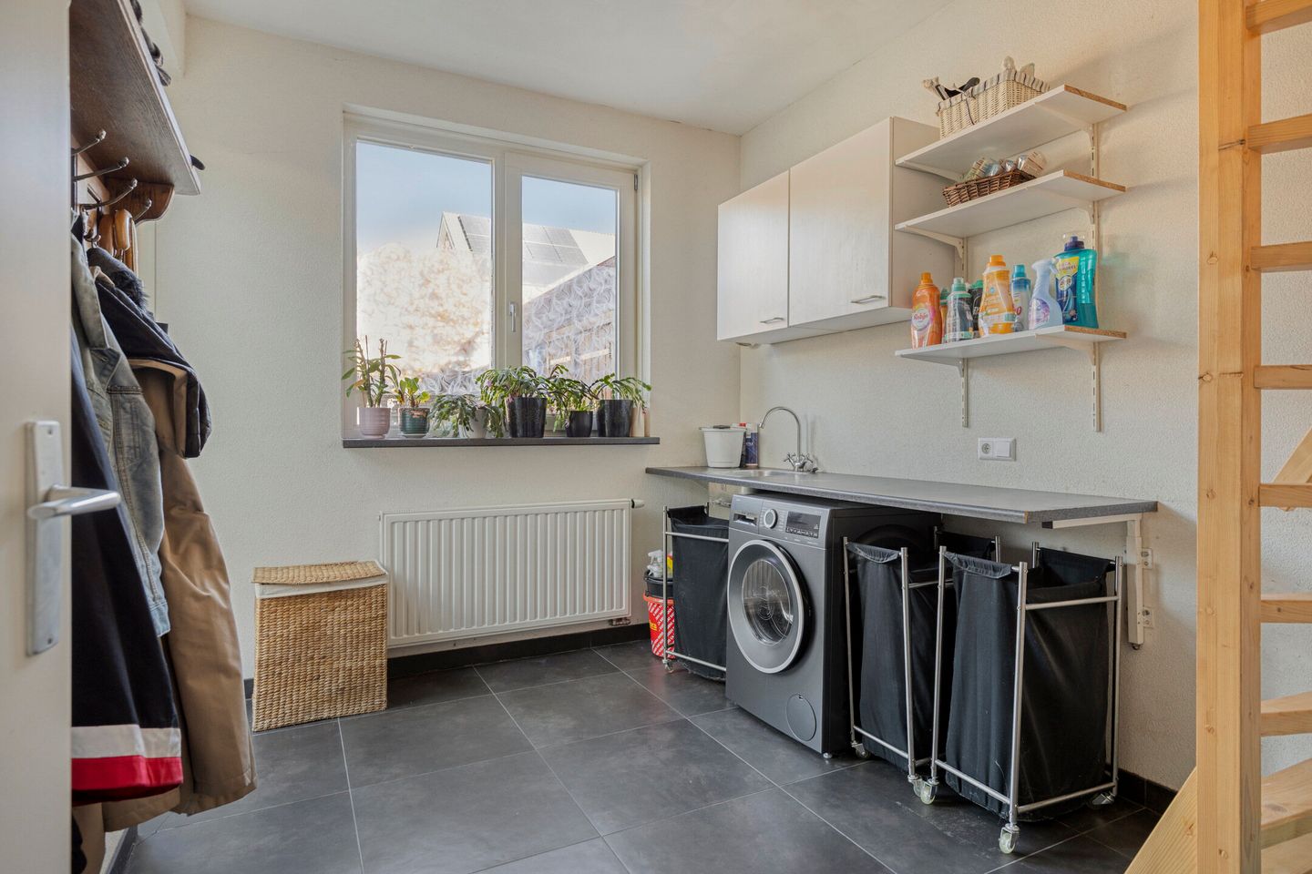 Photo 25 of Koolwitje 2