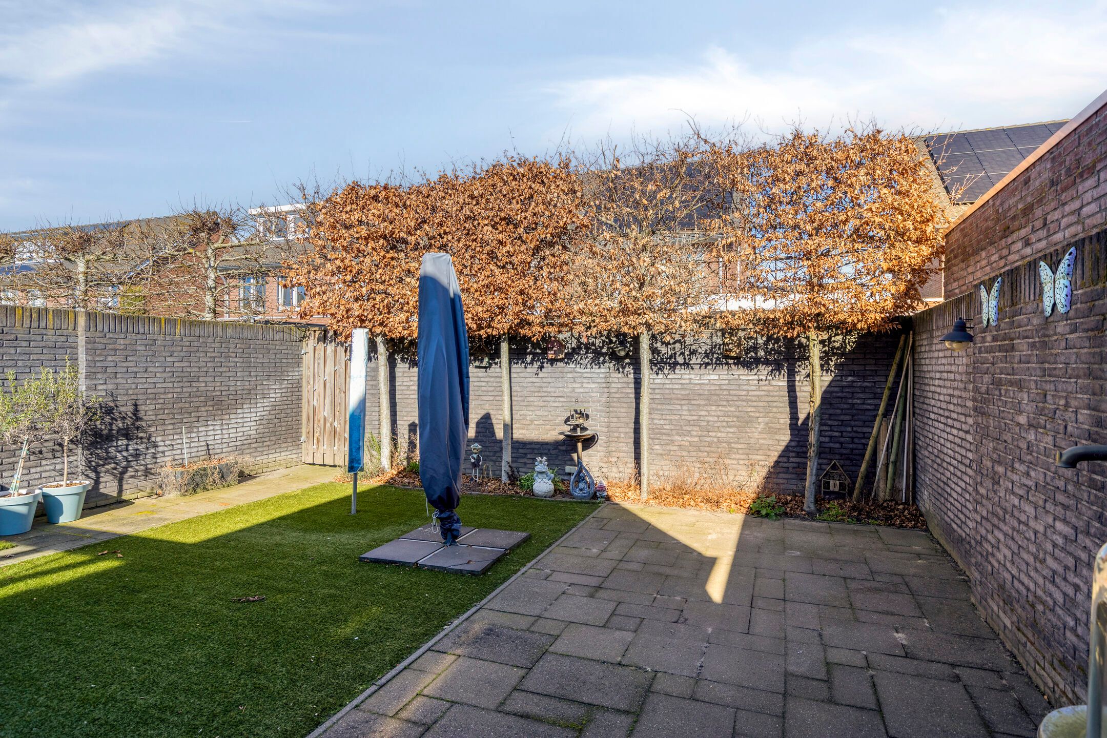 Photo 6 of Koolwitje 2