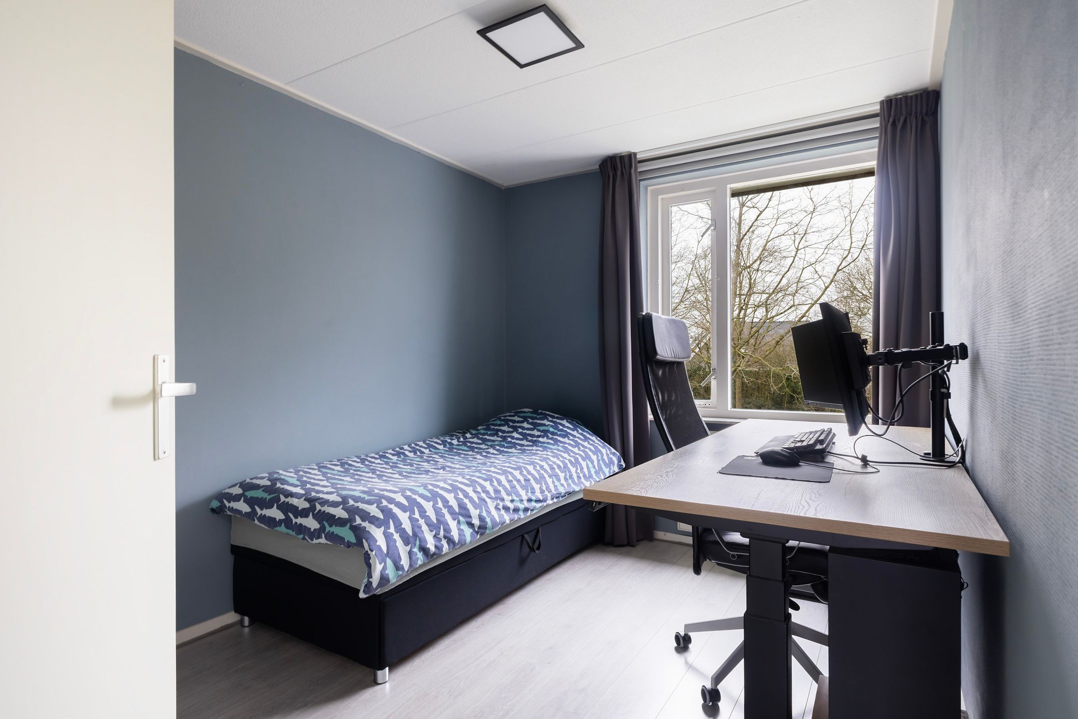 Photo 27 of Kalmoes 3