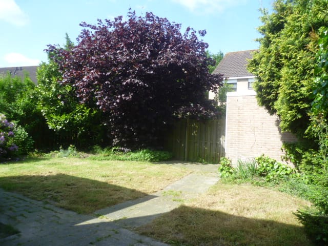 Foto 6 van Bergerhei 27