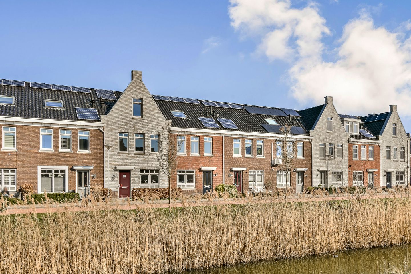 Foto 1 van Buizerd 34