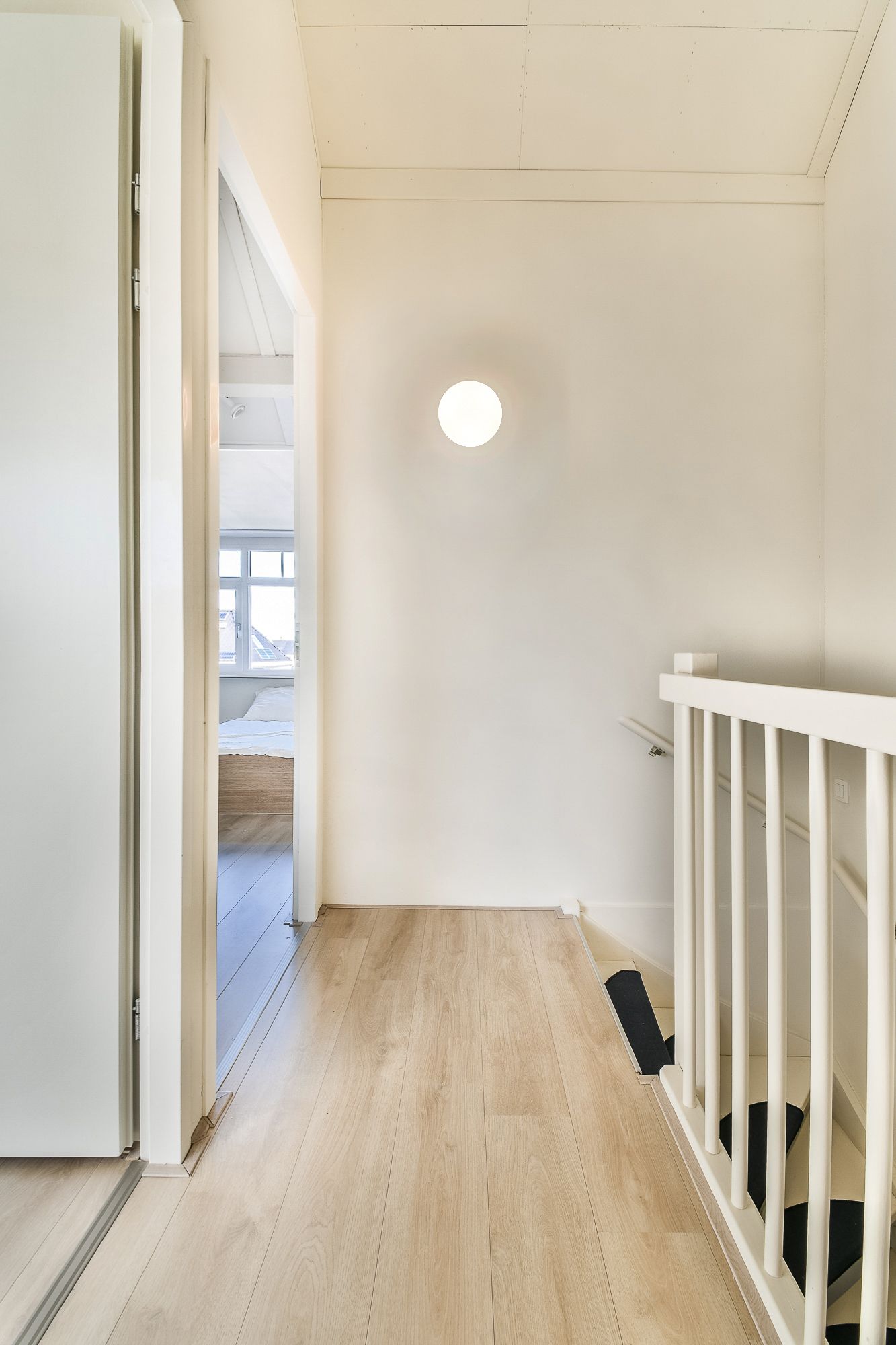 Foto 20 van Buizerd 34