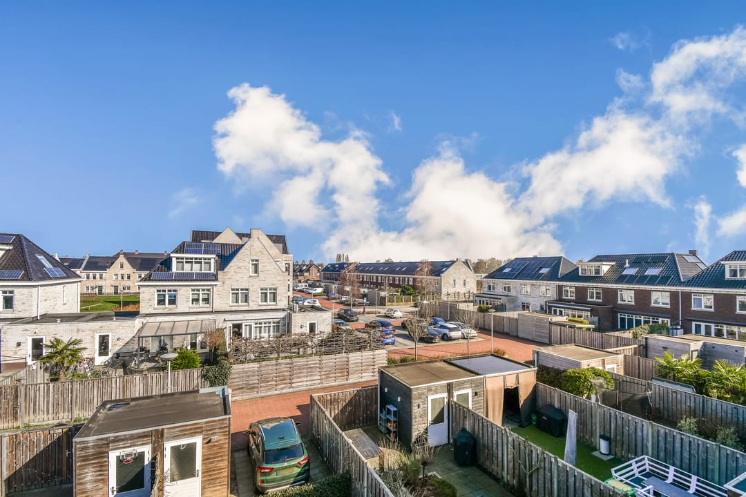 Foto 23 van Buizerd 34